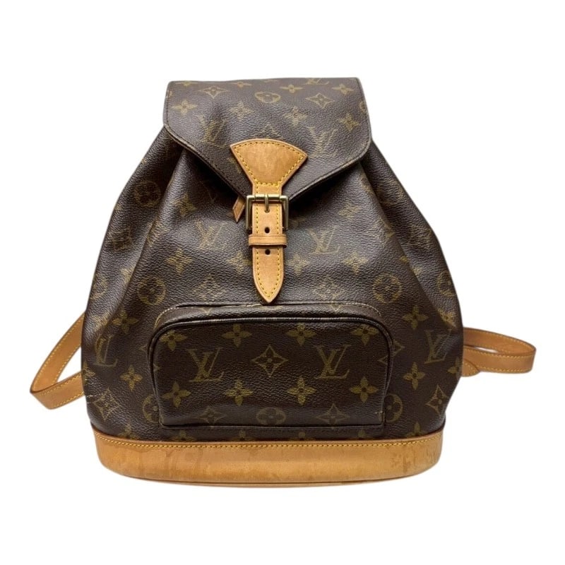 LOUIS VUITTON MONTSOURISMM BACKPACK DAYPACK (1 of 6)