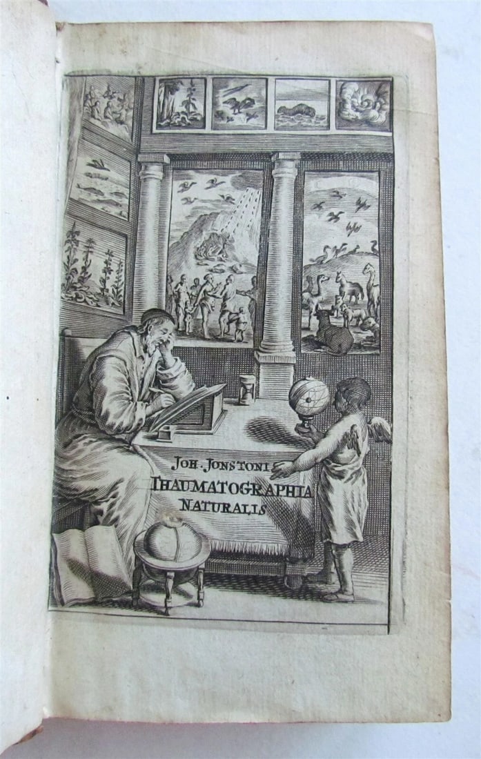 1665 THAUMATOGRAPHIA: WONDERS OF NATURE PLANTS, FOSSILS, AND ANCIENT METEORS (1 of 6)