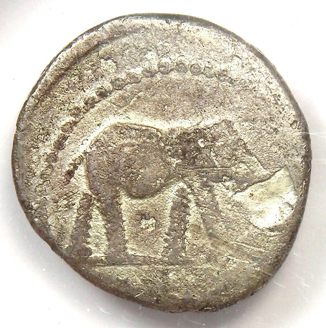 JULIUS CAESAR AR DENARIUS SILVER ELEPHANT COIN (1 of 3)