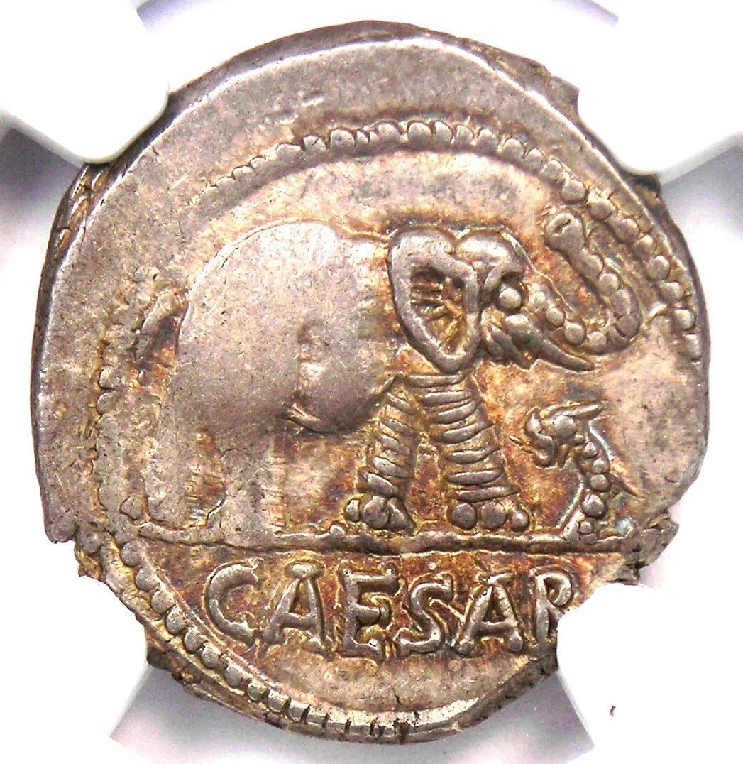 JULIUS CAESAR AR DENARIUS SILVER ELEPHANT ROMAN COIN (1 of 2)