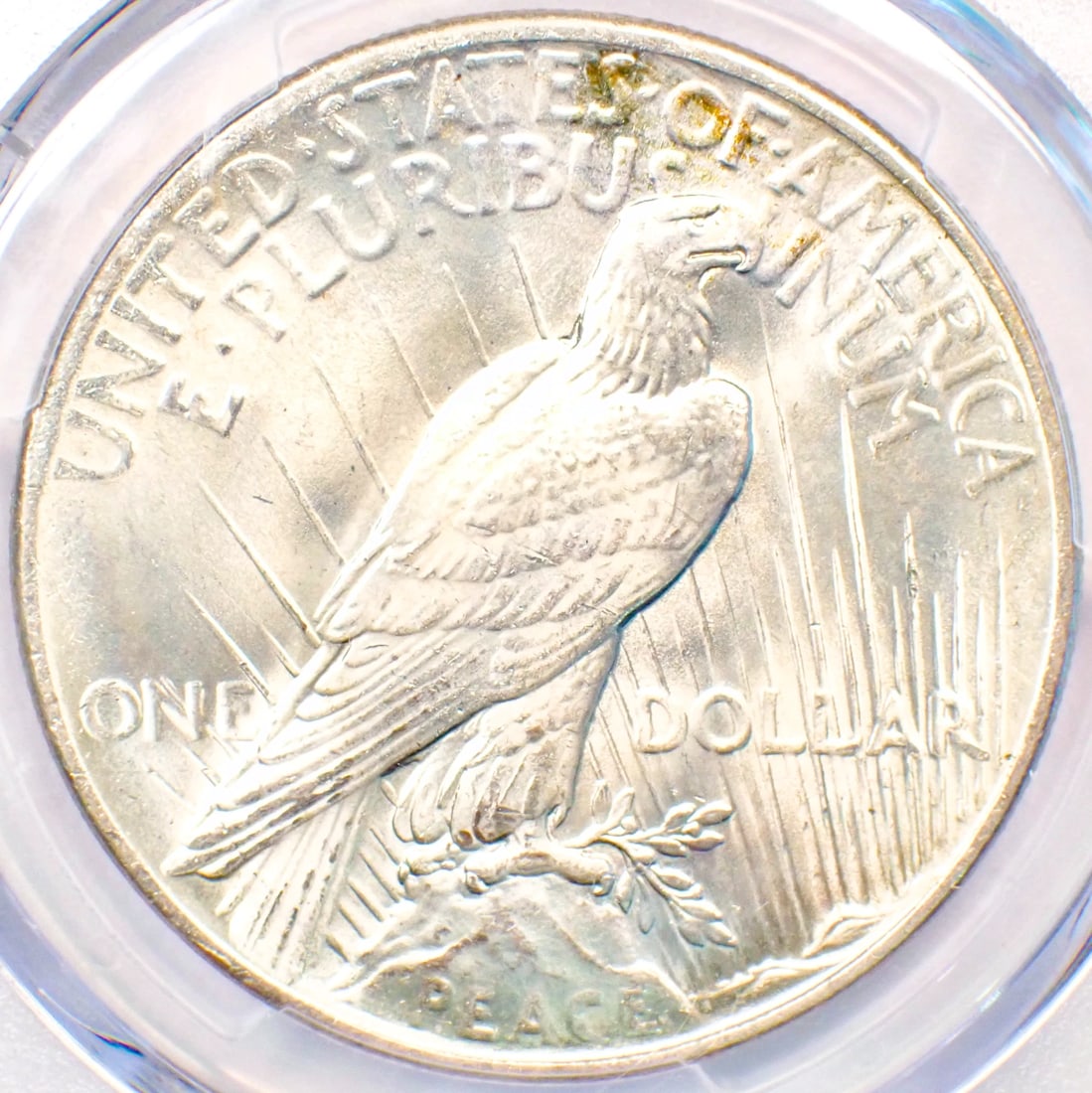 1925 PEACE SILVER DOLLAR $1 - 2