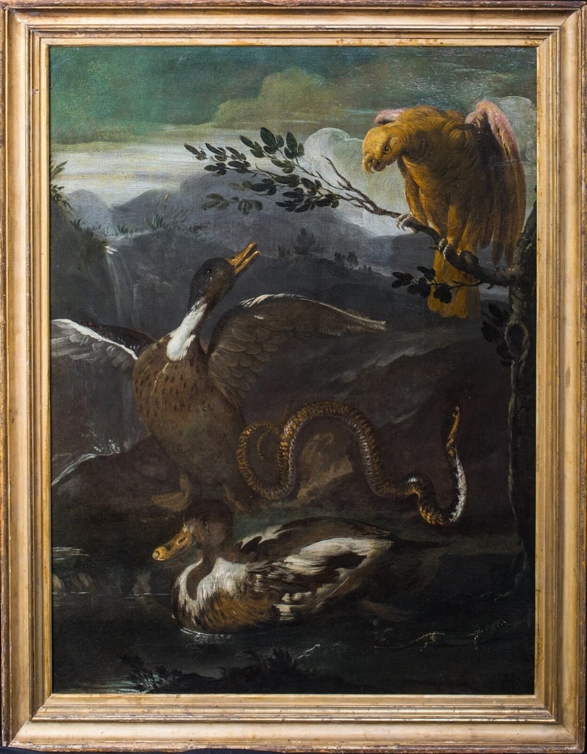 PARROT, SNAKE, LIZARD AND DUCKS OIL PAINTING: Year: 17th century Size: 40" x 34" Medium: Oil Description: An oil painting by Otto Marcus Van Schrieck (1619-1678) depicting a parrot, ducks, lizards, and snakes from the 17th century. Significant ea