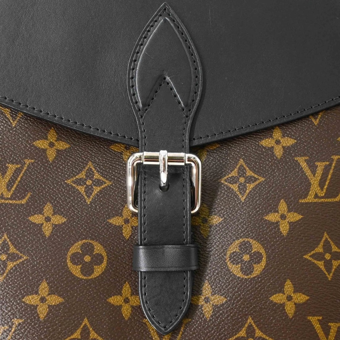 LOUIS VUITTON MONOGRAM MACASSAR PARC BACKPACK - 5