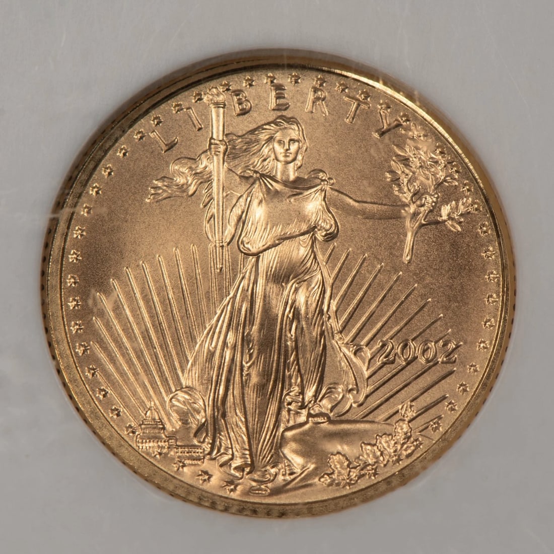 2002 G$5 1/10 OZ GOLD AMERICAN EAGLE - TENTH-OUNCE: 2002 G$5 1/10 oz Gold American Eagle - Tenth-Ounce Brand/Mint: U.S. Mint Year: 2002 Fineness: 0.9167 Country of Origin: United States Accessories: None Accessories Notice: When purchasing pre-owned