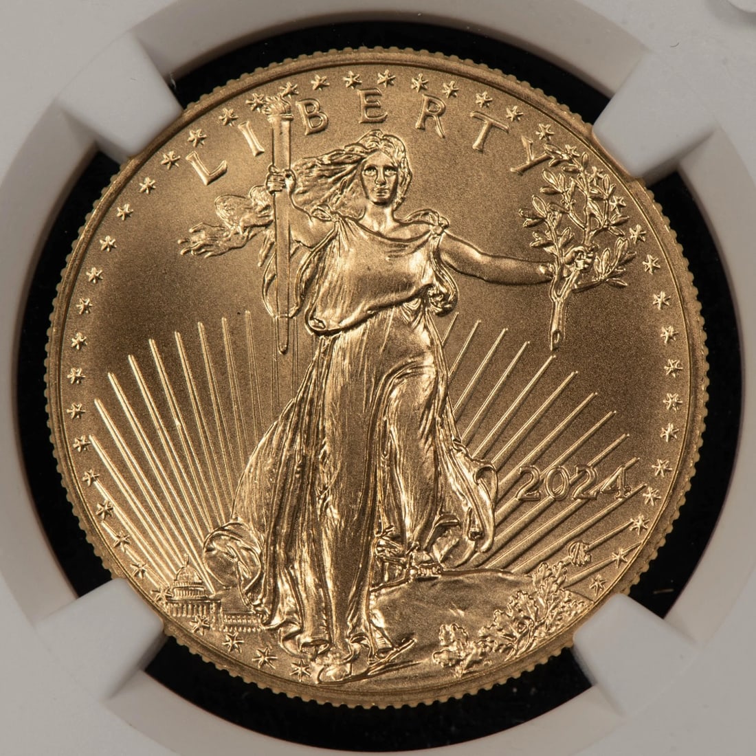 2024 G$25 1/2 OZ GOLD AMERICAN EAGLE: 2024 G$25 1/2 oz Gold American Eagle Brand/Mint: U.S. Mint Year: 2024 Fineness: 0.9167 Country of Origin: United States Accessories: None Accessories Notice: When purchasing pre-owned goods, please