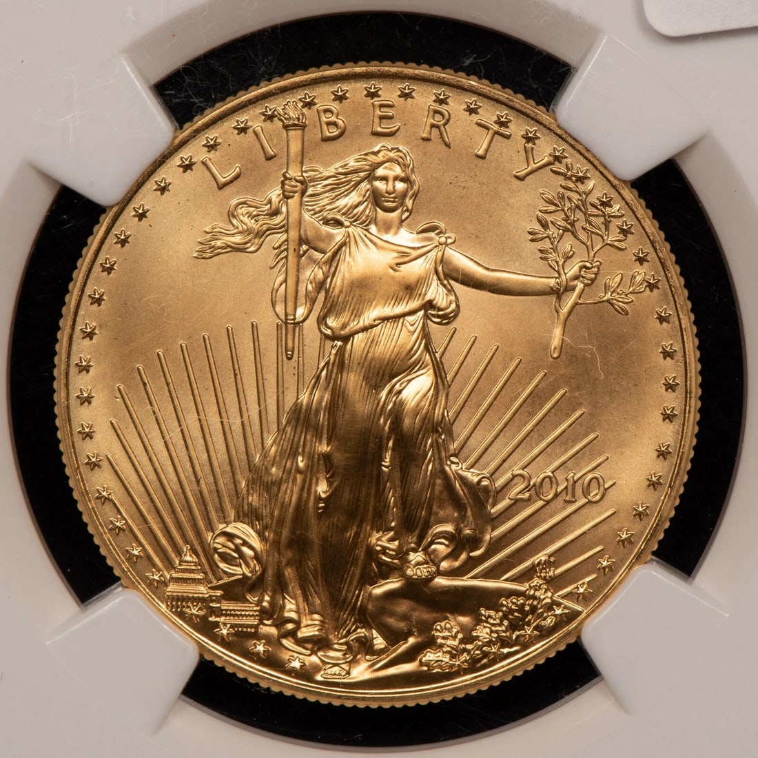 2010 G$50 1 OZ GOLD AMERICAN EAGLE: 2010 G$50 1 oz Gold American Eagle Brand/Mint: None Year: 2010 Fineness: 0.9167 Country of Origin: United States Accessories: None Accessories Notice: When purchasing pre-owned goods, please refer