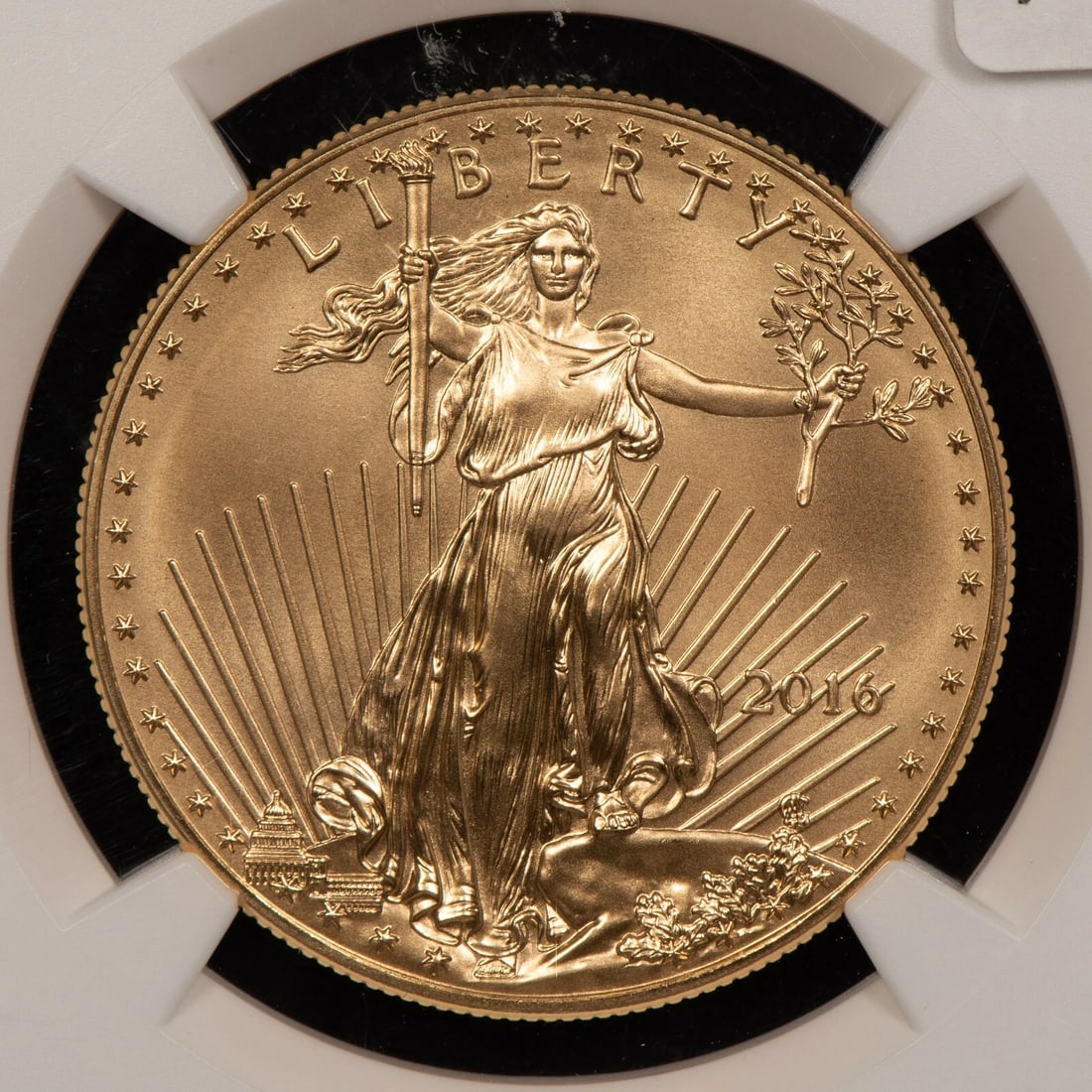 2016 G$50 1 OZ GOLD AMERICAN EAGLE - 30TH ANNIVERSARY: 2016 G$50 1 oz Gold American Eagle - 30th Anniversary Brand/Mint: U.S. Mint Year: 2016 Fineness: 0.9167 Country of Origin: United States Accessories: None Accessories Notice: When purchasing pre-ow