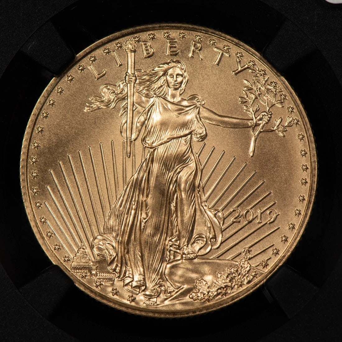 2019 G$25 1/2 OZ GOLD AMERICAN EAGLE - STANDISH SEALED BOX: 2019 G$25 1/2 oz Gold American Eagle - Standish Sealed Box Brand/Mint: U.S. Mint Year: 2019 Fineness: 0.9167 Country of Origin: United States Accessories: None Accessories Notice: When purchasing p
