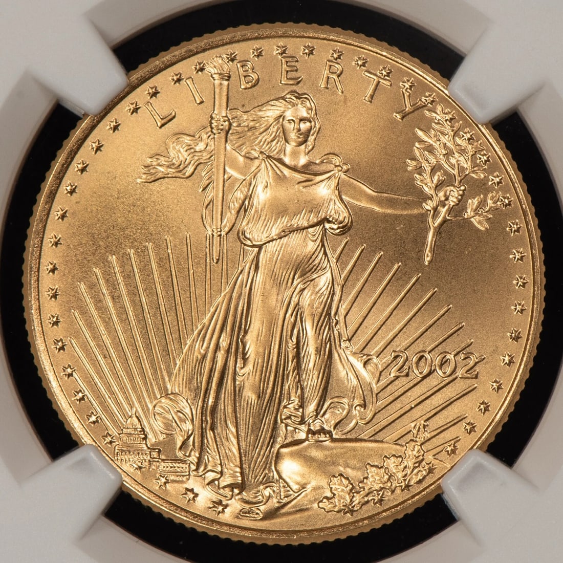 2002 G$25 1/2 OZ GOLD AMERICAN EAGLE: 2002 G$25 1/2 oz Gold American Eagle Brand/Mint: U.S. Mint Year: 2002 Fineness: 0.9167 Country of Origin: United States Accessories: None Accessories Notice: When purchasing pre-owned goods, please