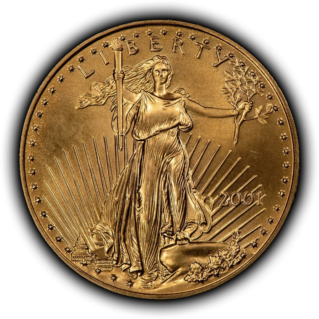 2001 G$25 1/2 OZ GOLD AMERICAN EAGLE HALF OUNCE: 2001 G$25 1/2 oz Gold American Eagle Half Ounce Brand/Mint: U.S. Mint Year: 2001 Fineness: 0.9167 Country of Origin: United States Accessories: None Accessories Notice: When purchasing pre-owned go