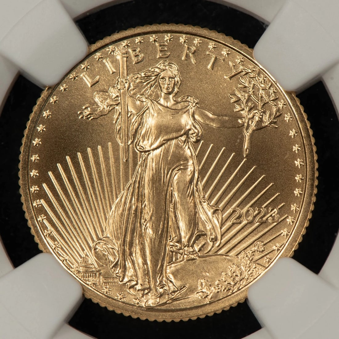 2023 $10 1/4 OZ GOLD AMERICAN EAGLE - FDOI - MIKE CASTLE: 2023 $10 1/4 oz Gold American Eagle - FDOI - Mike Castle Brand/Mint: U.S. Mint Year: 2023 Fineness: 0.9167 Country of Origin: United States Accessories: None Accessories Notice: When purchasing pre