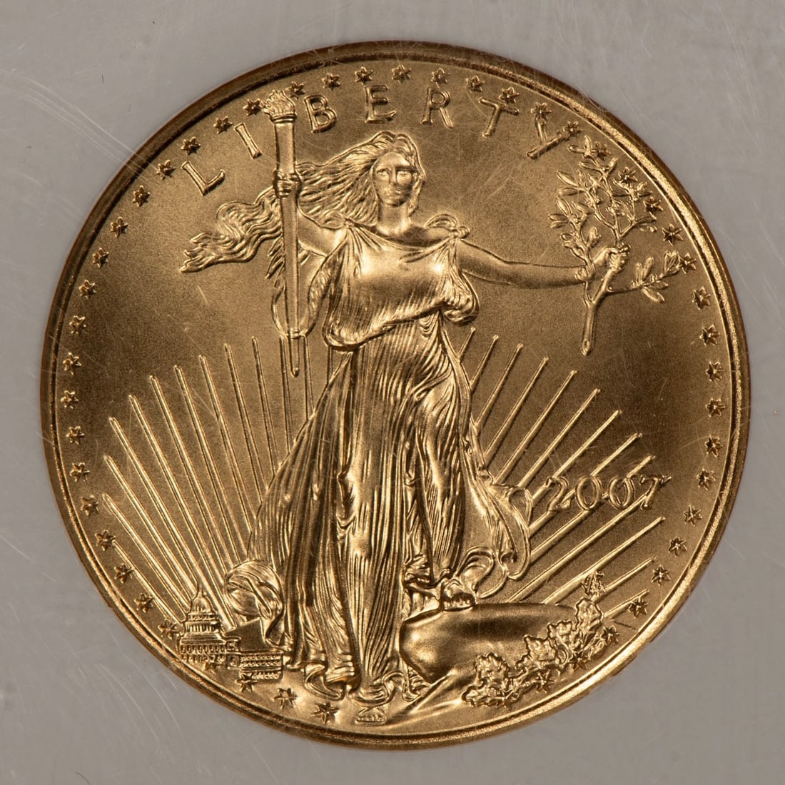 2007 G$25 1/2 OZ GOLD AMERICAN EAGLE: 2007 G$25 1/2 oz Gold American Eagle Brand/Mint: U.S. Mint Year: 2007 Fineness: 0.9167 Country of Origin: United States Accessories: None Accessories Notice: When purchasing pre-owned goods, please