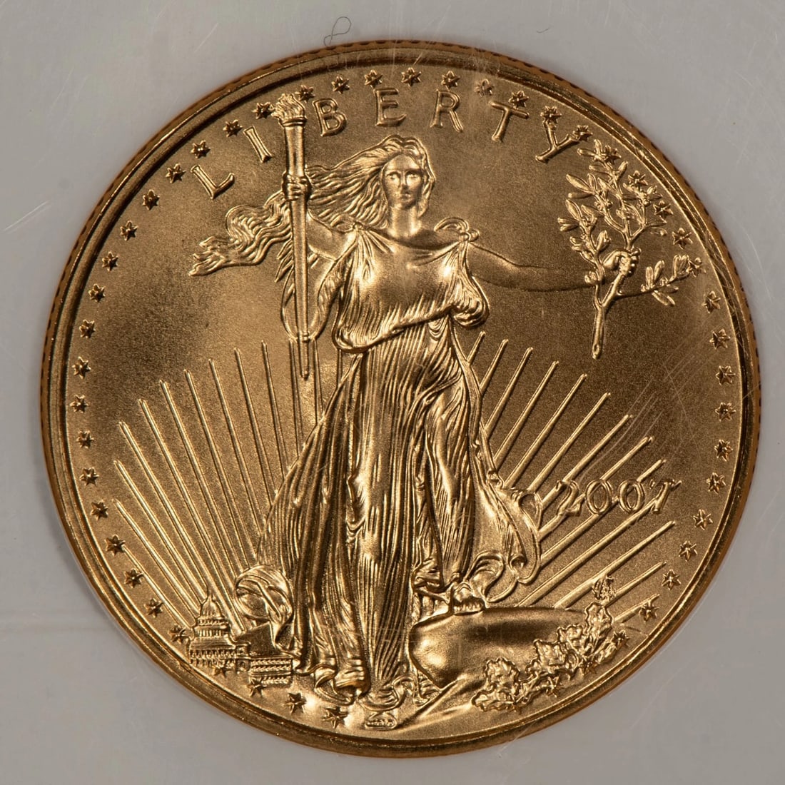 2007 G$25 1/2 OZ GOLD AMERICAN EAGLE: 2007 G$25 1/2 oz Gold American Eagle Brand/Mint: U.S. Mint Year: 2007 Fineness: 0.9167 Country of Origin: United States Accessories: None Accessories Notice: When purchasing pre-owned goods, please