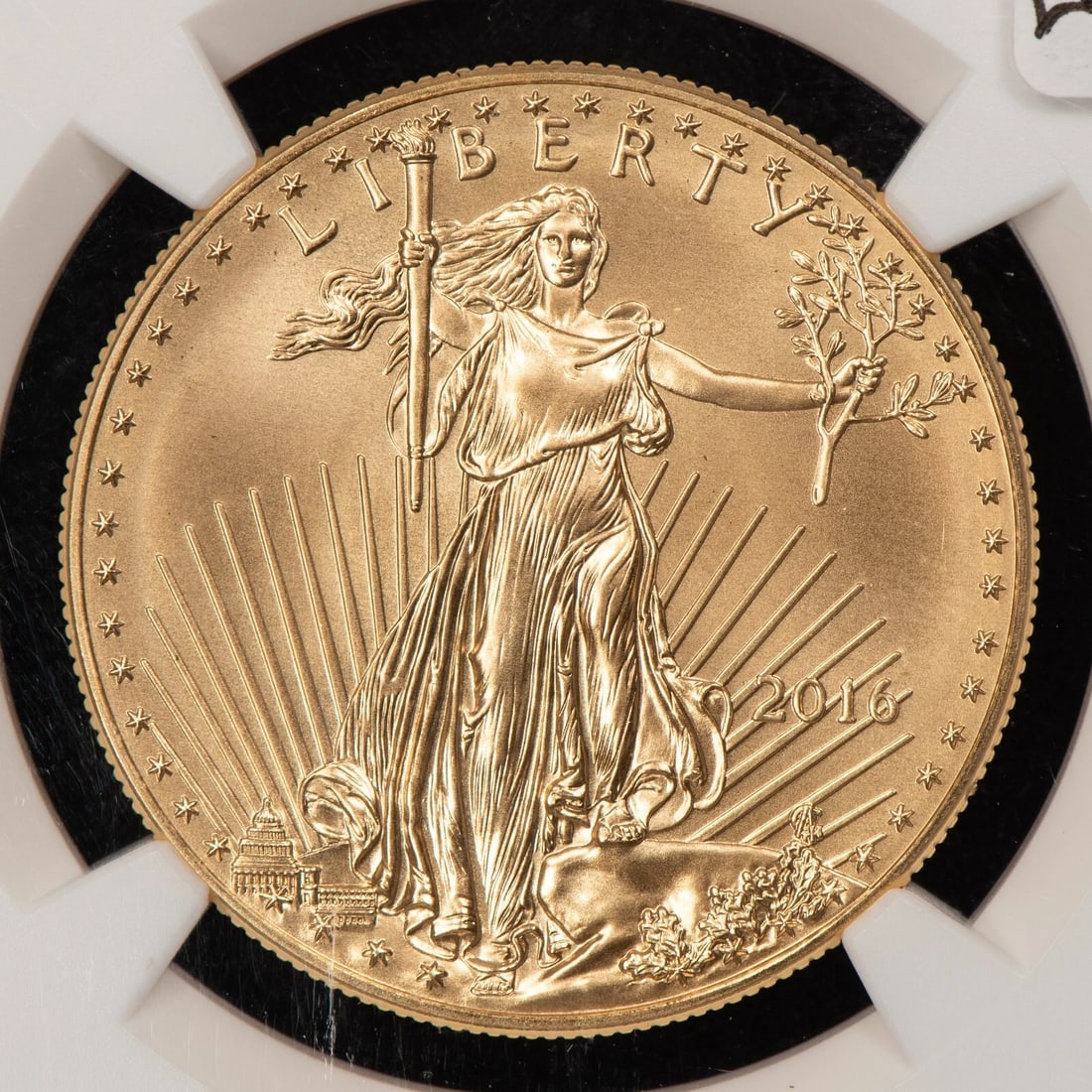 2016 $50 1 OZ GOLD AMERICAN EAGLE - 30TH ANNIVERSARY (1 of 2)