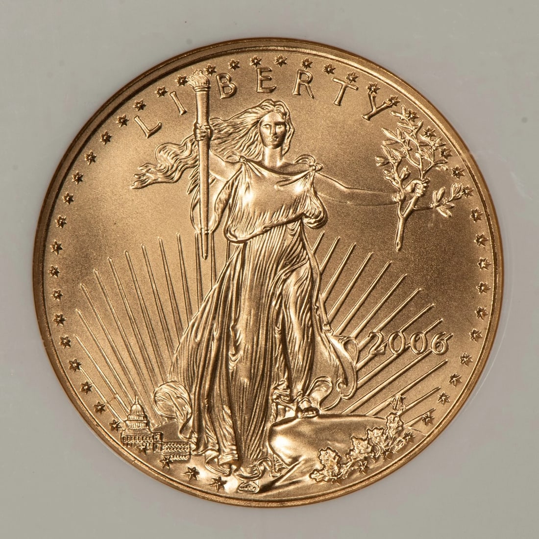 2006 G$25 1/2 OZ GOLD AMERICAN EAGLE - FIRST STRIKE: 2006 G$25 1/2 oz Gold American Eagle - First Strike Brand/Mint: U.S. Mint Year: 2006 Fineness: 0.9167 Country of Origin: United States Accessories: None Accessories Notice: When purchasing pre-owned