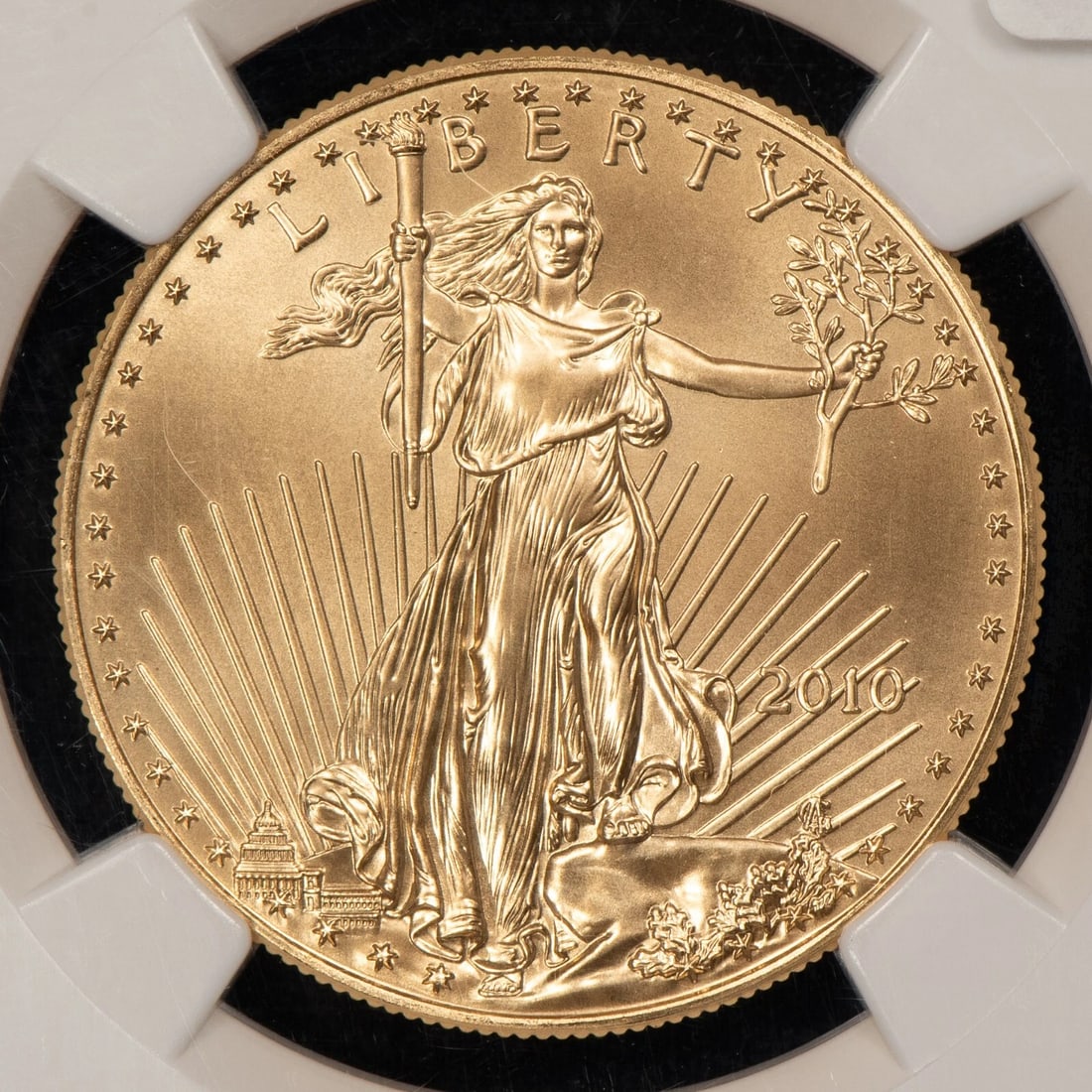 2010 G$50 1 OZ GOLD AMERICAN EAGLE: 2010 G$50 1 oz Gold American Eagle Brand/Mint: U.S. Mint Year: 2010 Fineness: 0.9167 Country of Origin: United States Accessories: None Accessories Notice: When purchasing pre-owned goods, please r