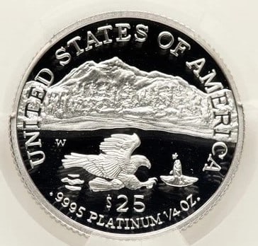 2002-W PROOF PLATINUM EAGLE 1/4 OZ NON DESIGNATION G - 2