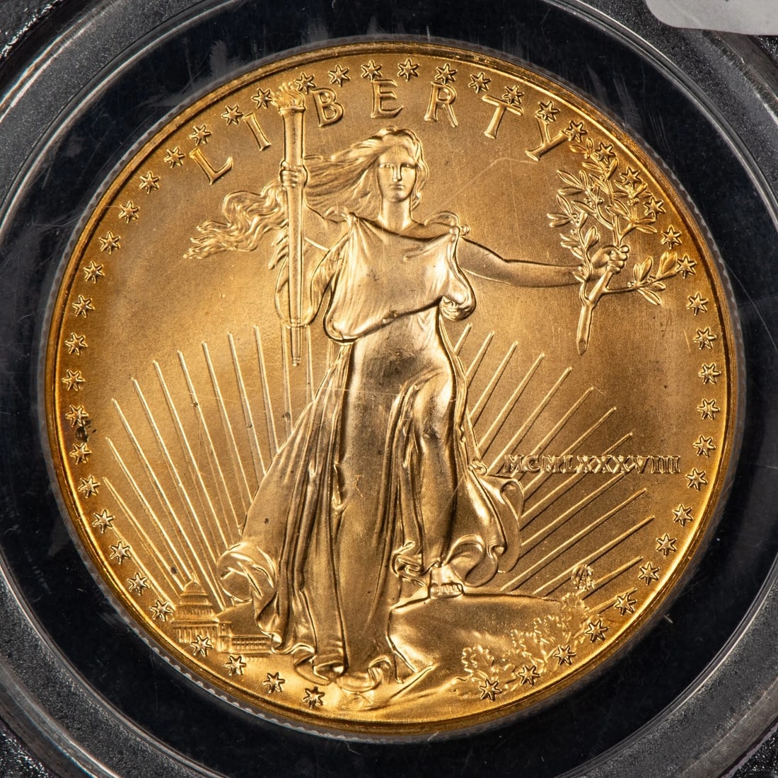 1988 G$50 1 OZ GOLD AMERICAN EAGLE COIN (1 of 2)