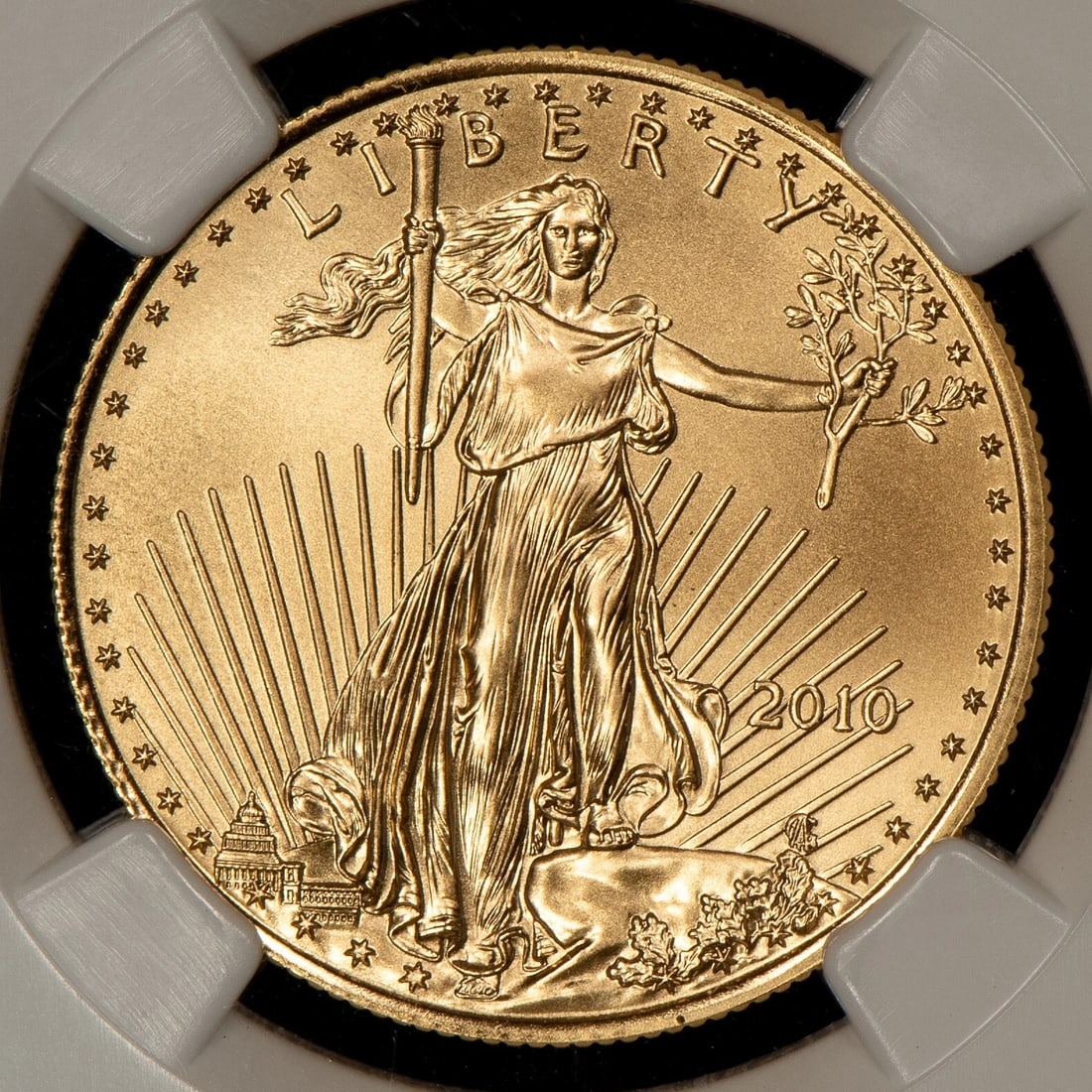 2010 G$25 1/2 OZ GOLD AMERICAN EAGLE: 2010 G$25 1/2 oz Gold American Eagle Brand/Mint: U.S. Mint Year: 2010 Fineness: 0.9167 Country of Origin: United States Accessories: None Accessories Notice: When purchasing pre-owned goods, please