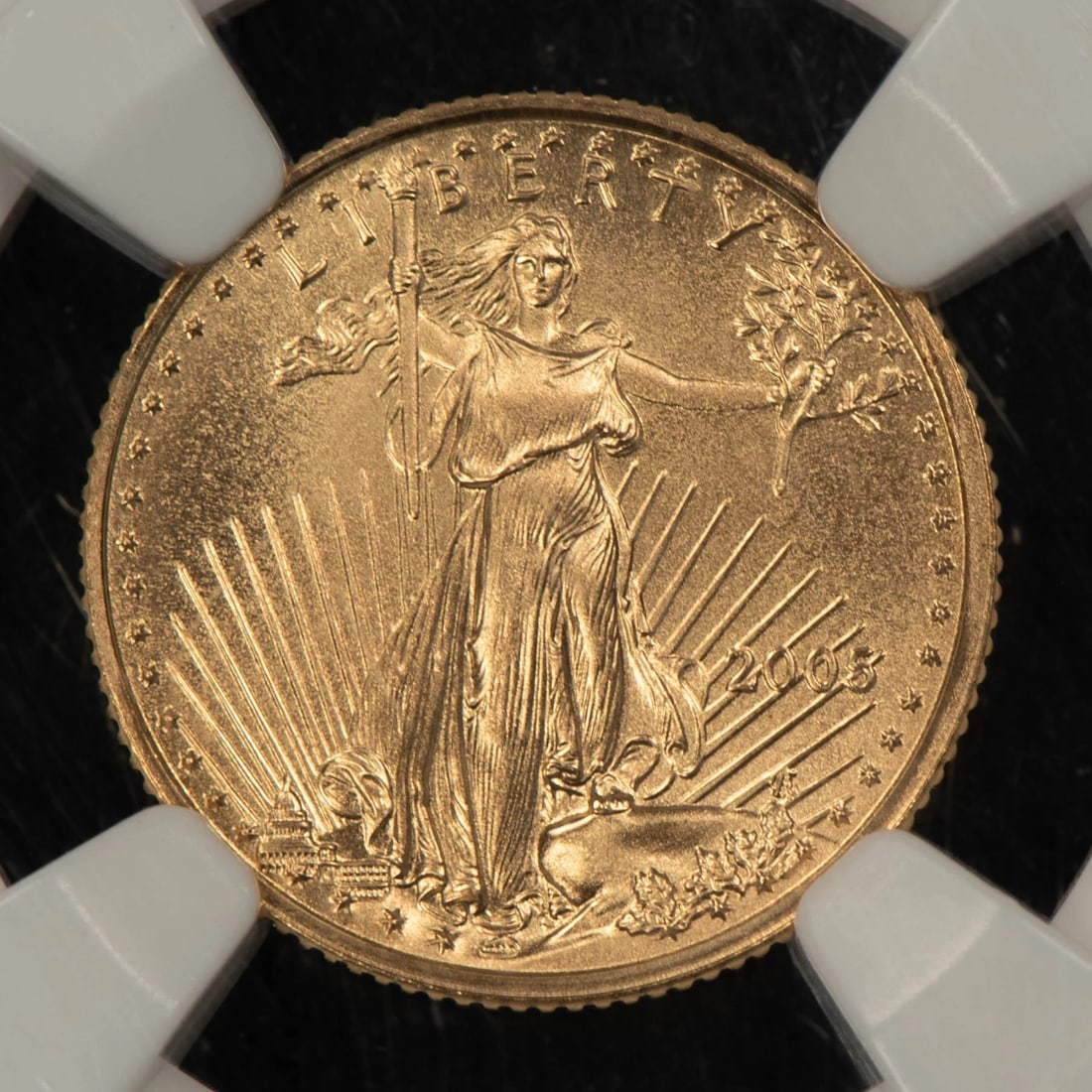2005 G$5 1/10 OZ GOLD AMERICAN EAGLE - NGC MS 70 (1 of 2)