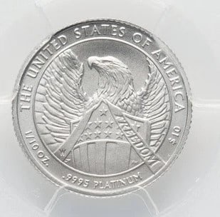 2007-W $10 TENTH-OUNCE PLATINUM EAGLE BURNISHED (1 of 2)