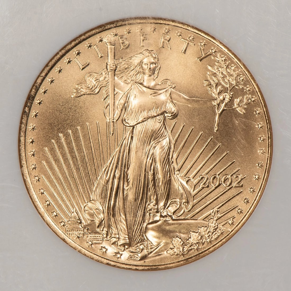 2002 G$25 1/2 OZ GOLD AMERICAN EAGLE: 2002 G$25 1/2 oz Gold American Eagle Brand/Mint: U.S. Mint Year: 2002 Fineness: 0.9167 Country of Origin: United States Accessories: None Accessories Notice: When purchasing pre-owned goods, please