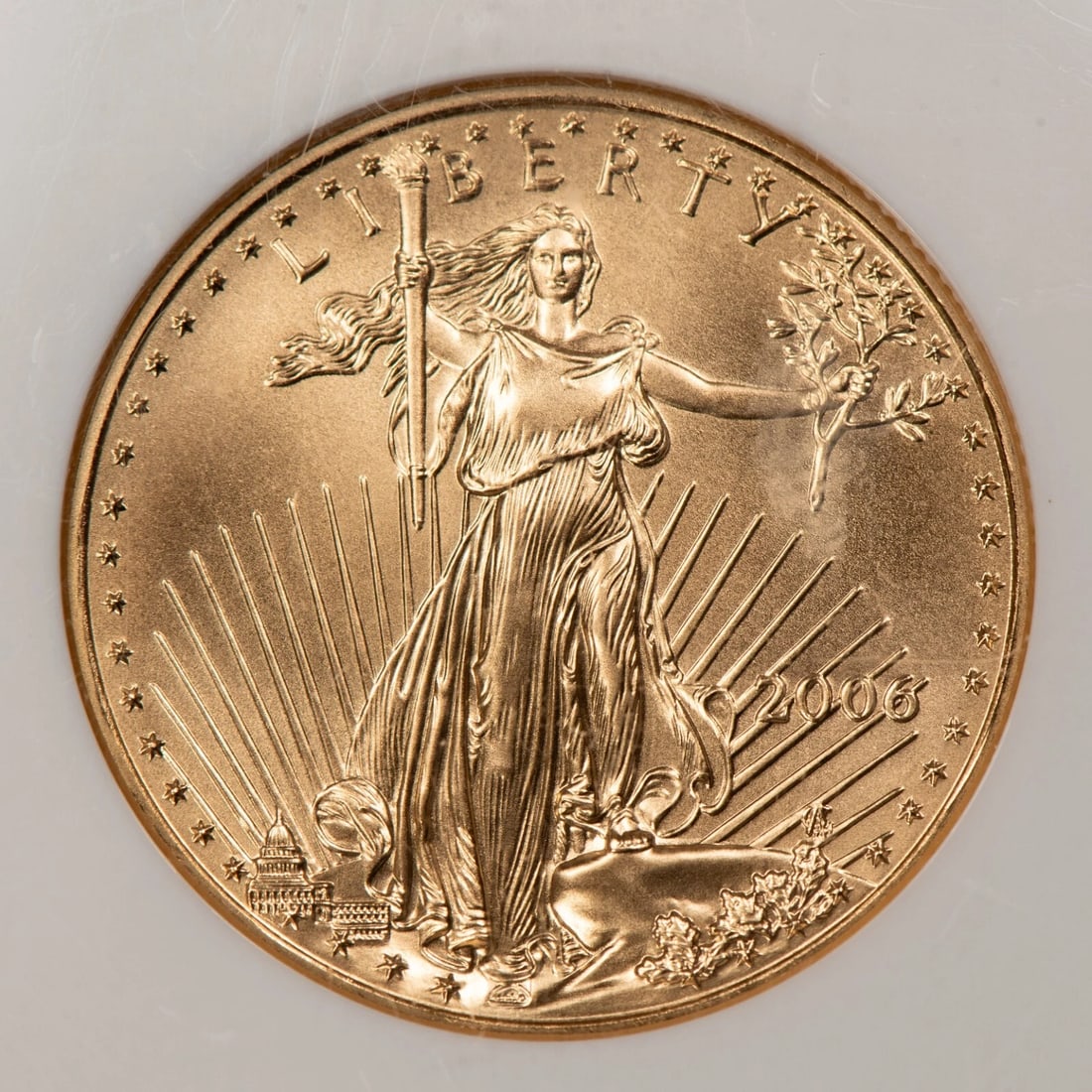 2006 G$25 1/2 OZ GOLD AMERICAN EAGLE: 2006 G$25 1/2 oz Gold American Eagle Brand/Mint: U.S. Mint Year: 2006 Fineness: 0.9167 Country of Origin: United States Accessories: None Accessories Notice: When purchasing pre-owned goods, please
