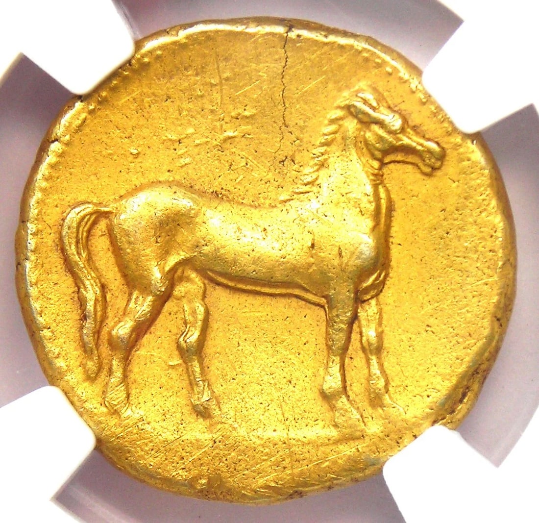 ZEUGITANA CARTHAGE ELECTRUM EL STATER TANIT HORSE COIN: Zeugitana Carthage Electrum EL Stater Tanit Horse Coin Year : 320 BC Denomination : Stater Country of Origin : None Accessories: None Accessories Notice: When purchasing pre-owned goods, please refer 