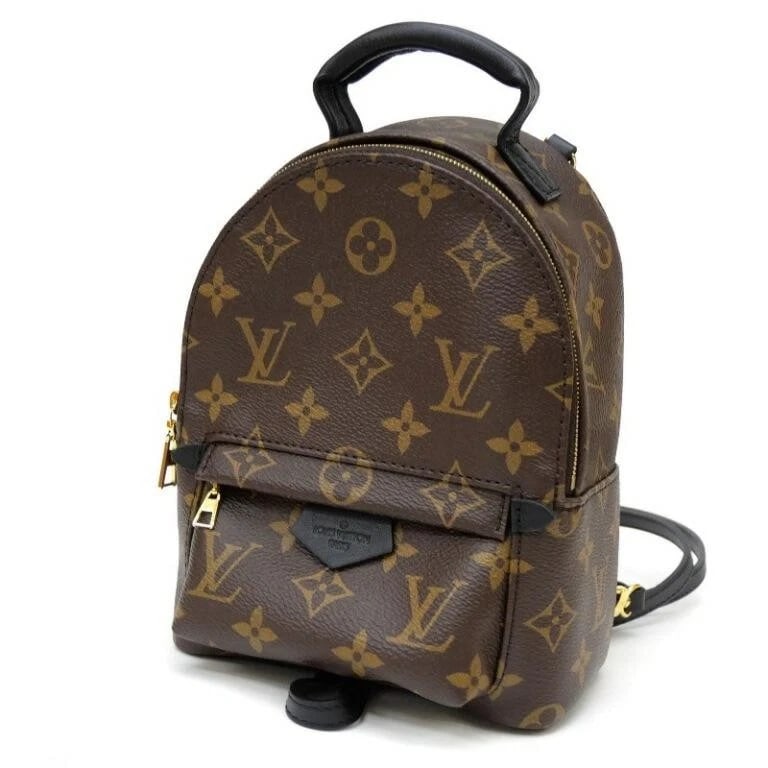 LOUIS VUITTON BAG: PALM SPRINGS BACKPACK (1 of 3)