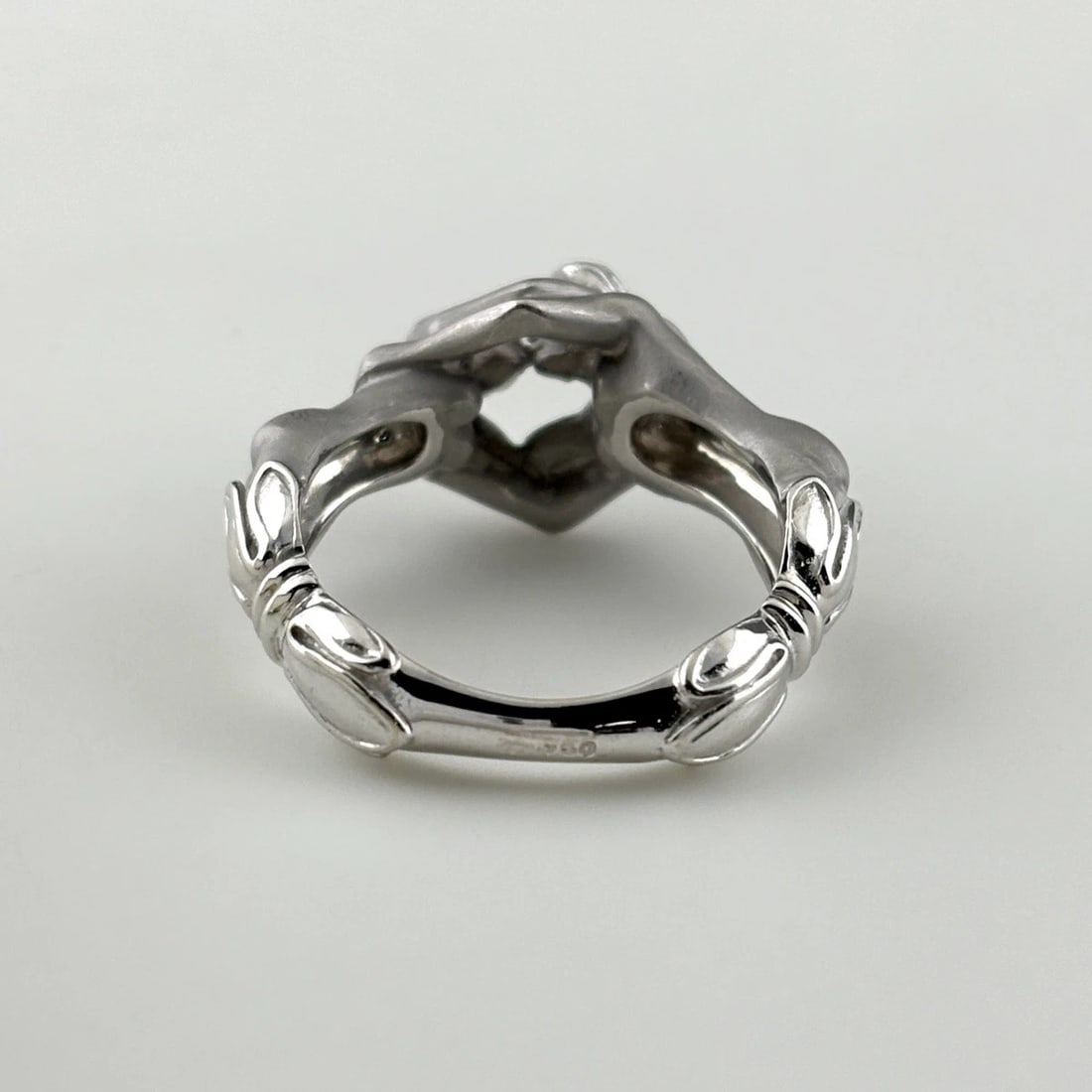 CARRERA Y CARRERA RING RING 750 - 2