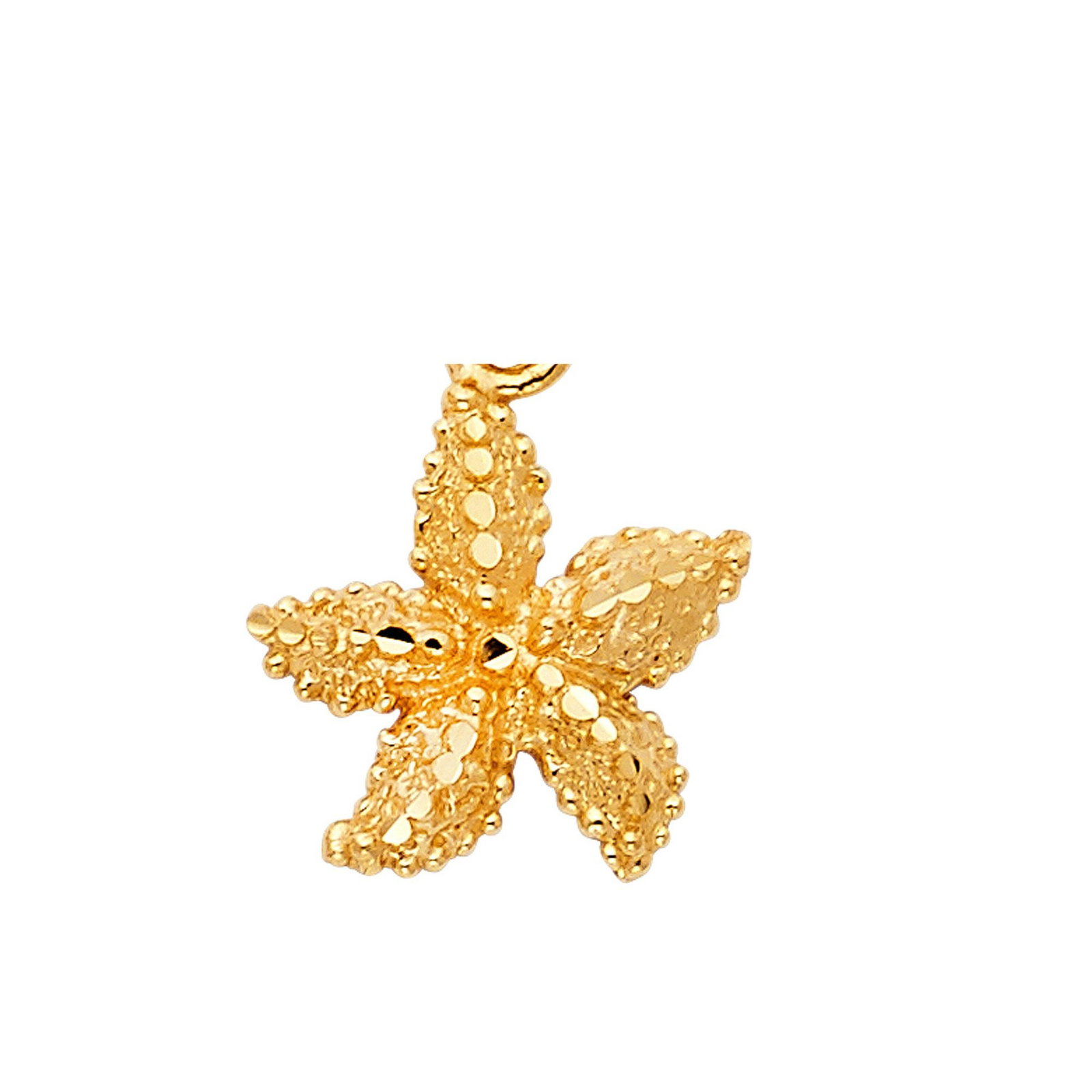 14KY STARFISH PENDANT - 2