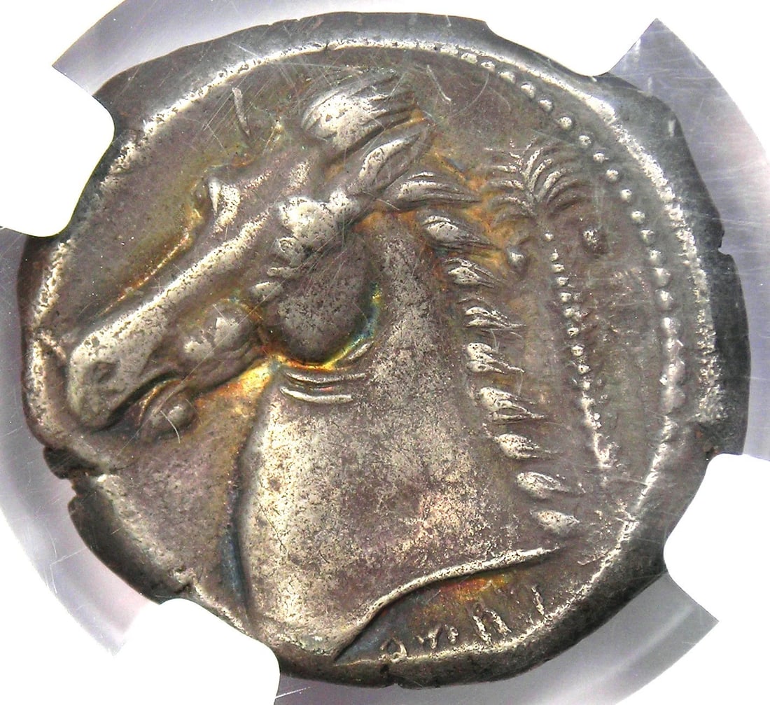 SICILY PUNIC AR TETRADRACHM QUAESTORS HERACLES HORSE COIN (1 of 3)