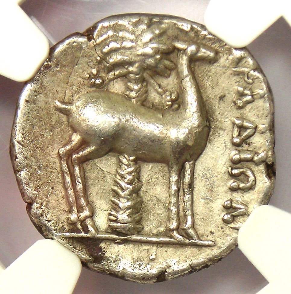 PHOENICIA ARADUS SILVER AR DRACHM BEE STAG ARADOS COIN (1 of 2)