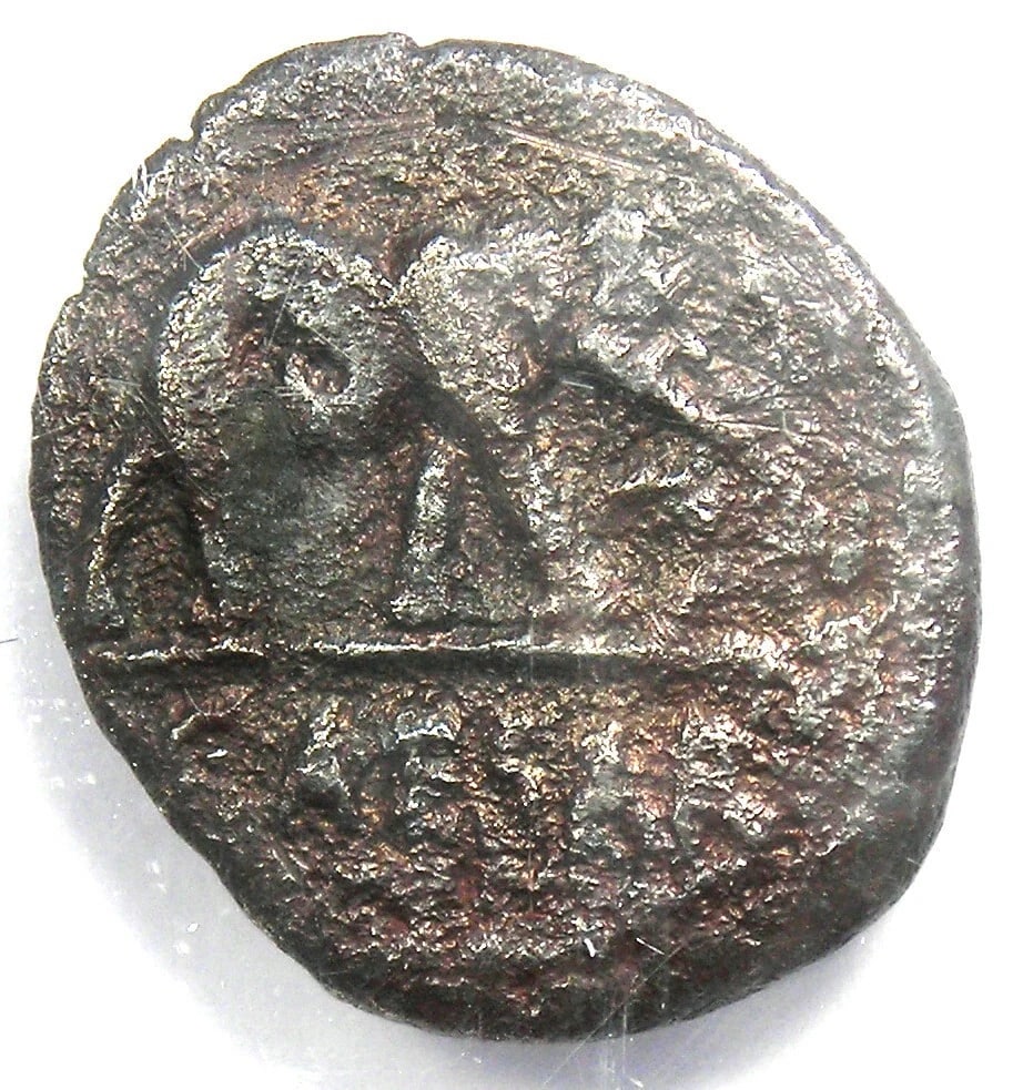 JULIUS CAESAR AR DENARIUS SILVER ELEPHANT ROMAN COIN: Julius Caesar AR Denarius Silver Elephant Roman Coin Year : 49 BC Denomination : Denarius Country of Origin : Italy Accessories: None Accessories Notice: When purchasing pre-owned goods, please refer 
