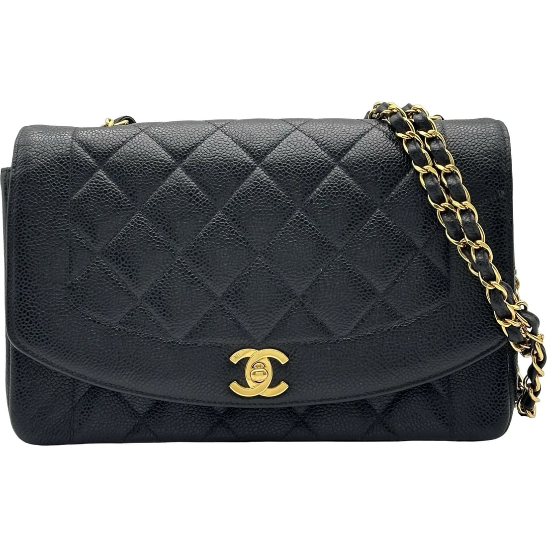 CHANEL DIANA SHOULDER BAG (1 of 5)