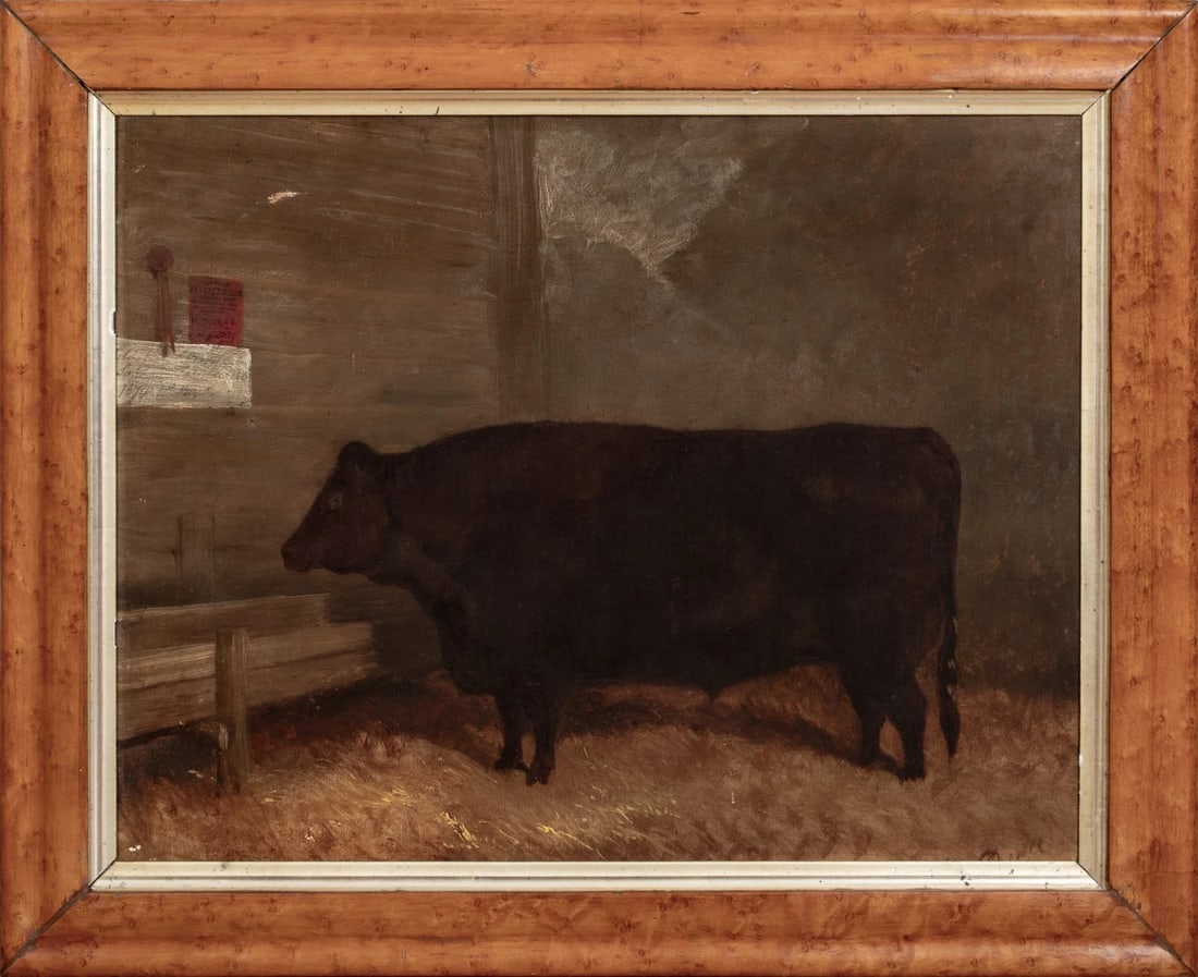 PORTRAIT OF A PRIZE SUFFOLK OX IN A BYRE OIL PAINTING: Year: 19th century Size: 24'' x 20'' Medium: Oil Description: Large oil painting from the 19th century depicting a prize Suffolk ox. Excellent quality and condition side profile image of a prize-winni
