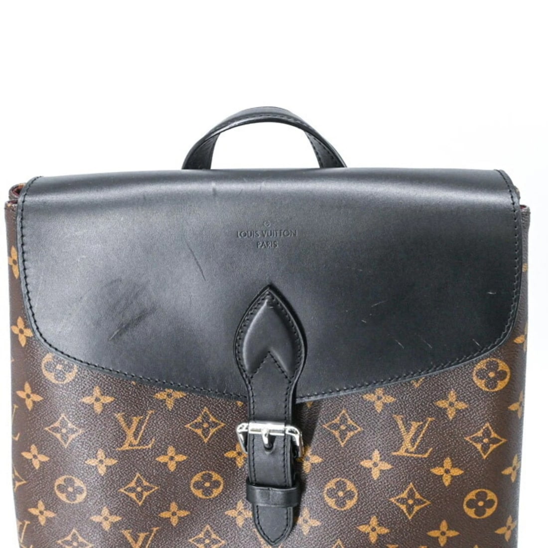 LOUIS VUITTON MONOGRAM MACASSAR PARC BACKPACK - 6