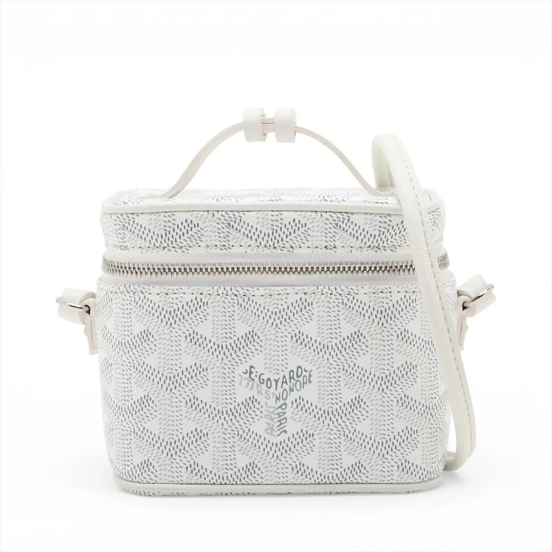 GOYARD MUSE NANO VANITY PVC & LEATHER 2 WAY VANITY BAG (1 of 4)