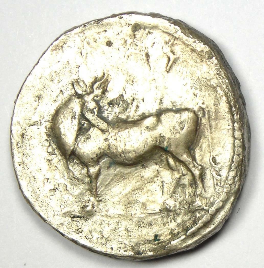 GREEK LUCANIA LAUS AR STATER MAN-HEADED BULL COIN (1 of 2)