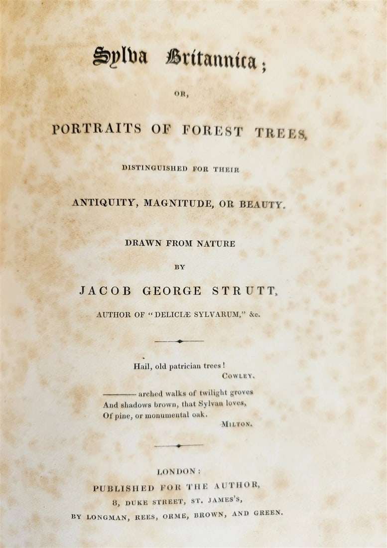 1831 SYLVA BRITANNICA OR ANTIQUE ILLUSTRATED PORTRAITS OF FOREST TREES (1 of 13)