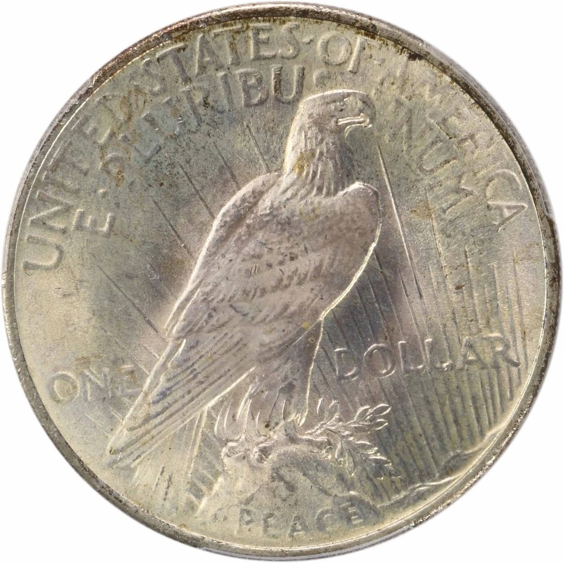 1924 PEACE SILVER DOLLAR - 2