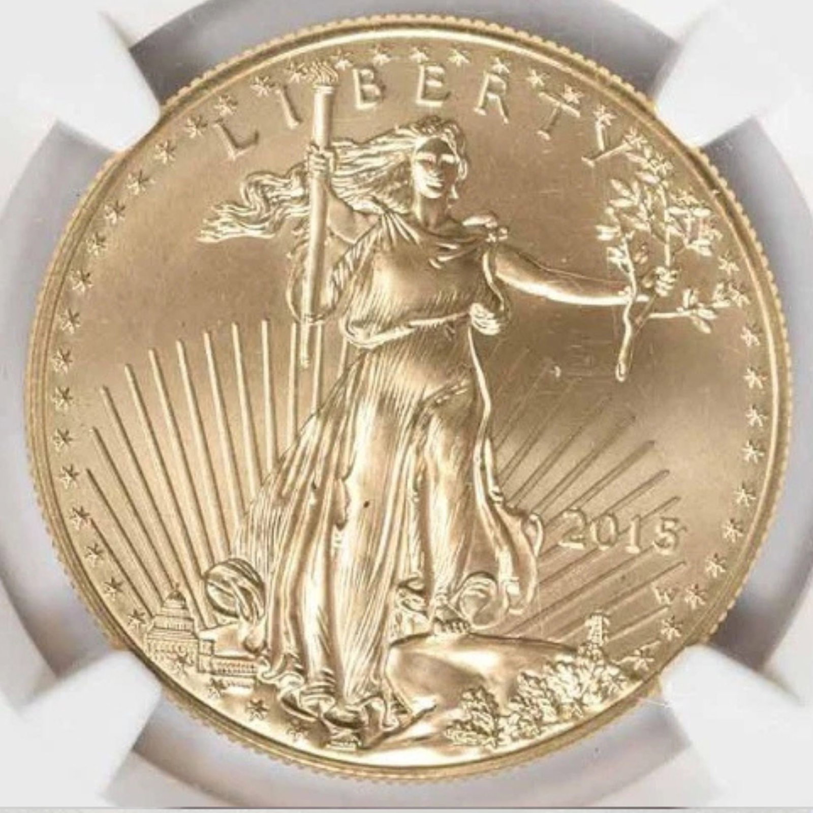 2015-W $50 AMERICAN GOLD EAGLE BURNISHED: 2015-W $50 American Gold Eagle Burnished Year: 2015 Composition: 91.67% Gold, 3% Silver, 5.33% Copper Denomination: Country of Origin: United States Accessories: None Accessories Notice: When