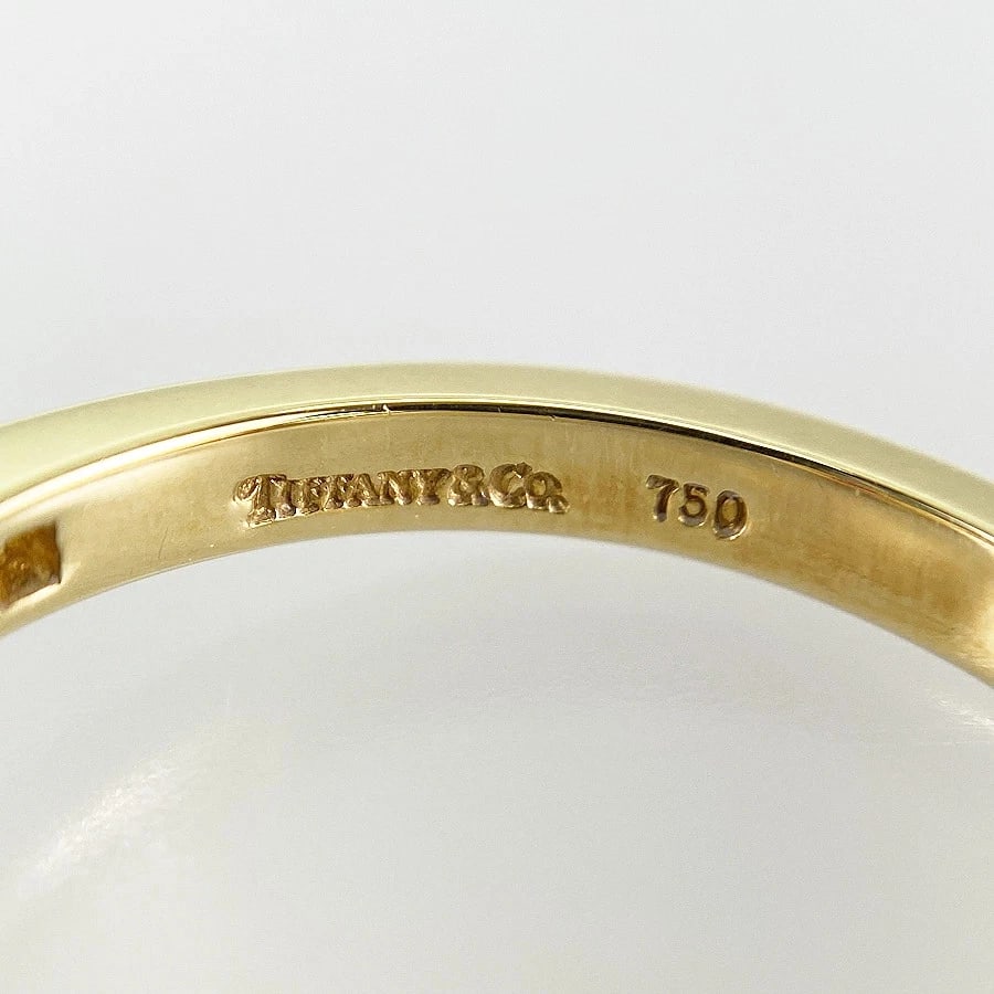 TIFFANY & CO. CONTINUOUS LOW RUBY DIAMOND RING - 4