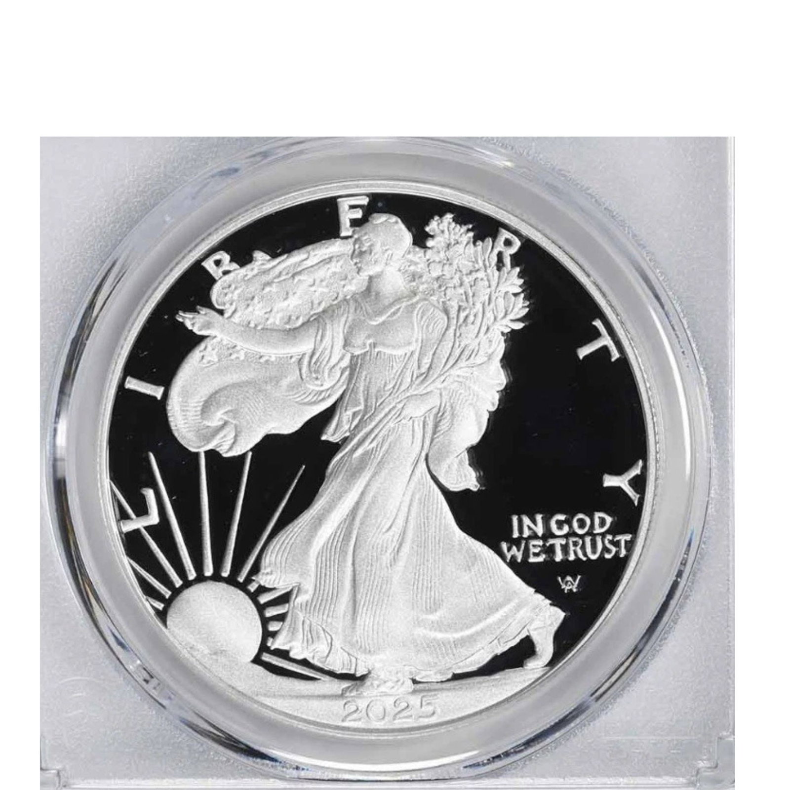 2025-S $1 AMERICAN SILVER EAGLE LIMITED EDITION: 2025-S $1 American Silver Eagle Limited Edition Year: 2025 Composition: Silver Denomination: Country of Origin: United States Accessories: None Accessories Notice: When purchasing pre-owned goods,