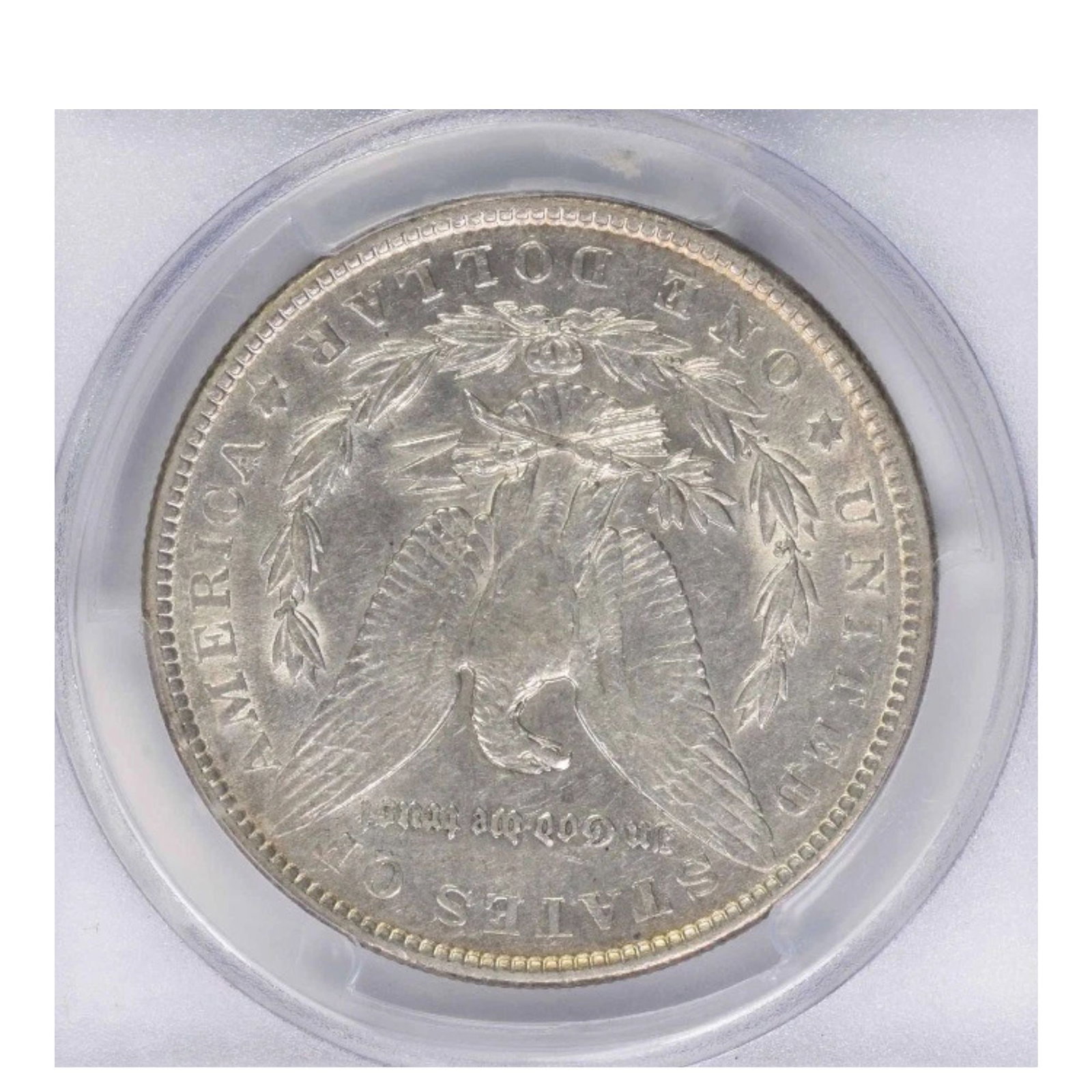 1901 MORGAN SILVER DOLLAR - 2