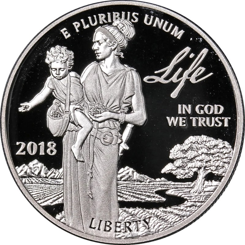 2018-W PLATINUM AMERICAN EAGLE $100 PROOF BULLION COIN (1 of 2)
