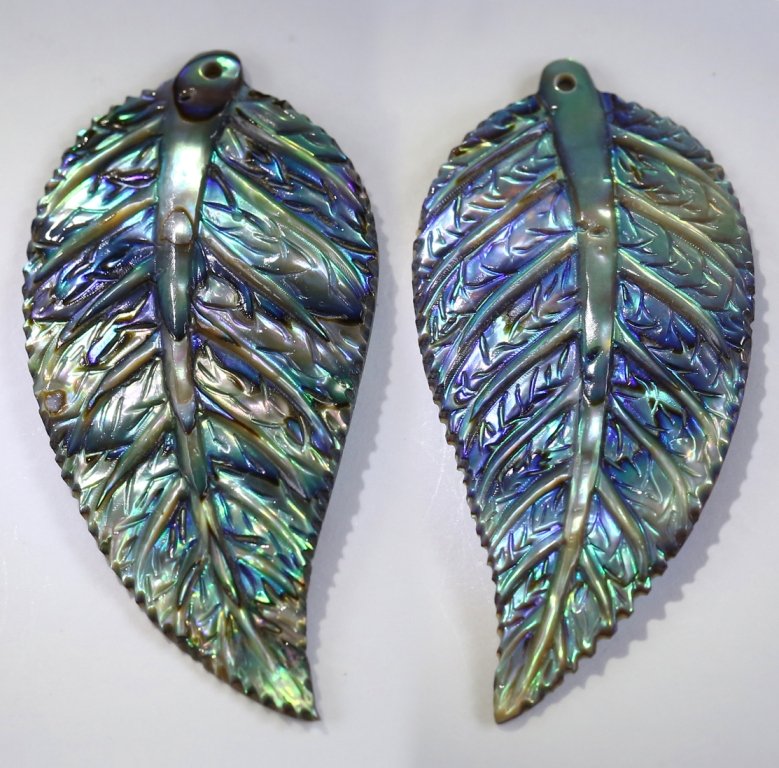 Multicolor PAUA ABALONE SHELL Iridescent Tropical Leaf (1 of 9)