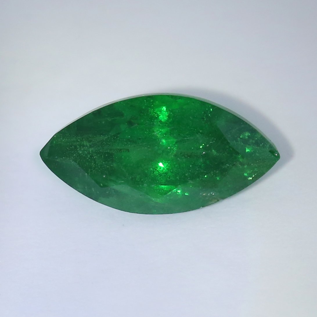 GIA Certified 2.59 ct. Tsavorite Garnet Untreated KENYA: JANUARY - GARNET Garnet, the birthstone for January, comes in many different colors. Tsavorite is a rich, deep green colored garnet.Tsavorite looks similar to an emerald but is more brilliant a