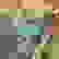 item-72519747=4
