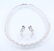 14 K White Gold IGI Cert. Diamond Necklace & Earrings - 3